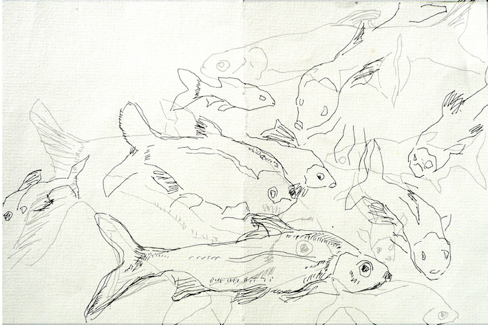 museum könig fische_Ralf