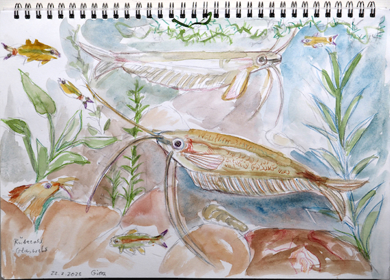 web_gitta_rübezahlglaswels