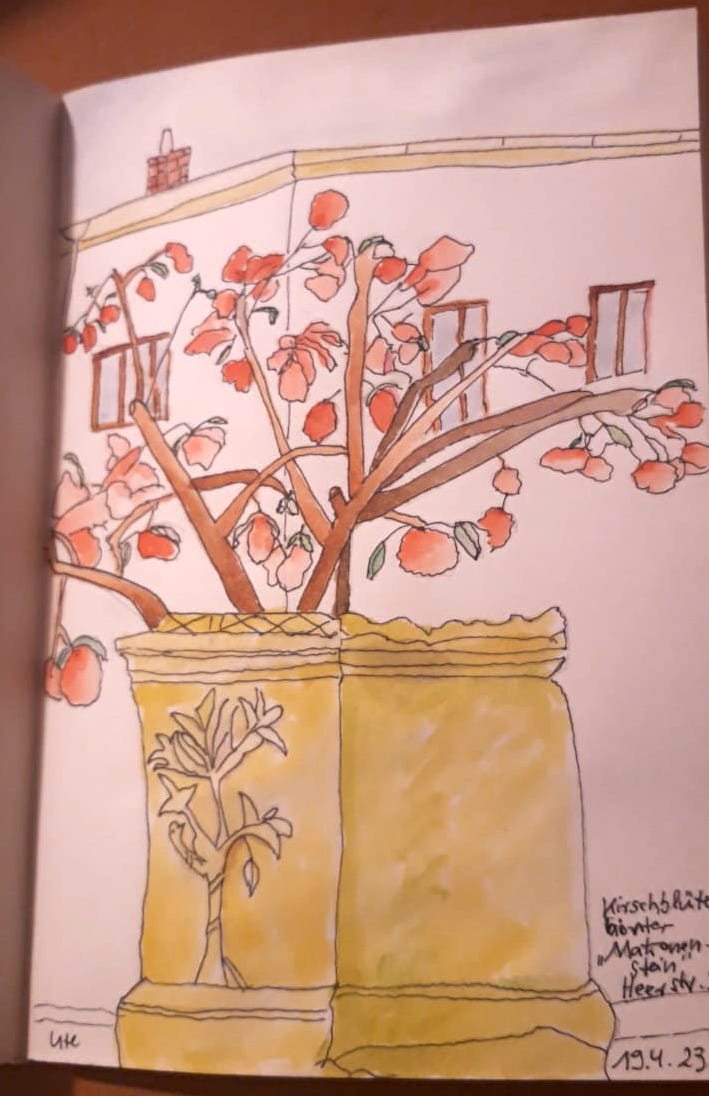 0b7e6ebd-981d-418f-Ute