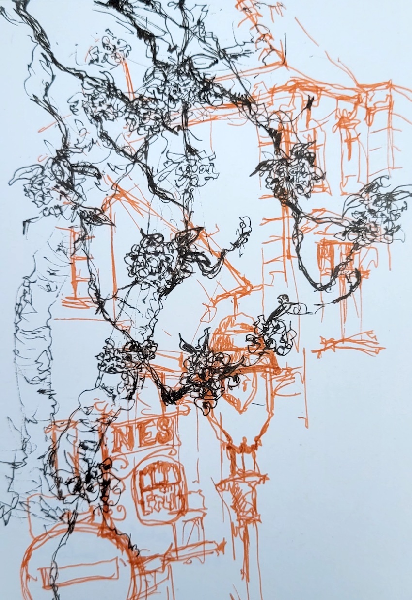 20230420_153142_katja