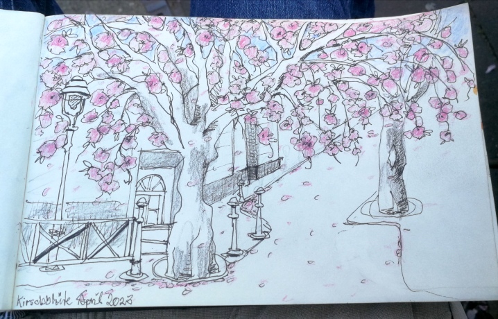 IMG_20230419_195605_resized_Betina