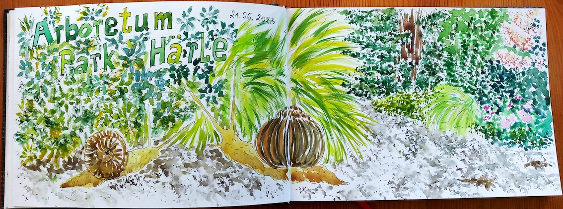 IMG_20230624_094348-Hanna