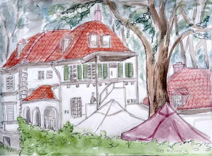 web_gitta_unter_der_zeder