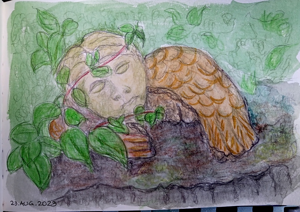 20230825_170313_Birgitt