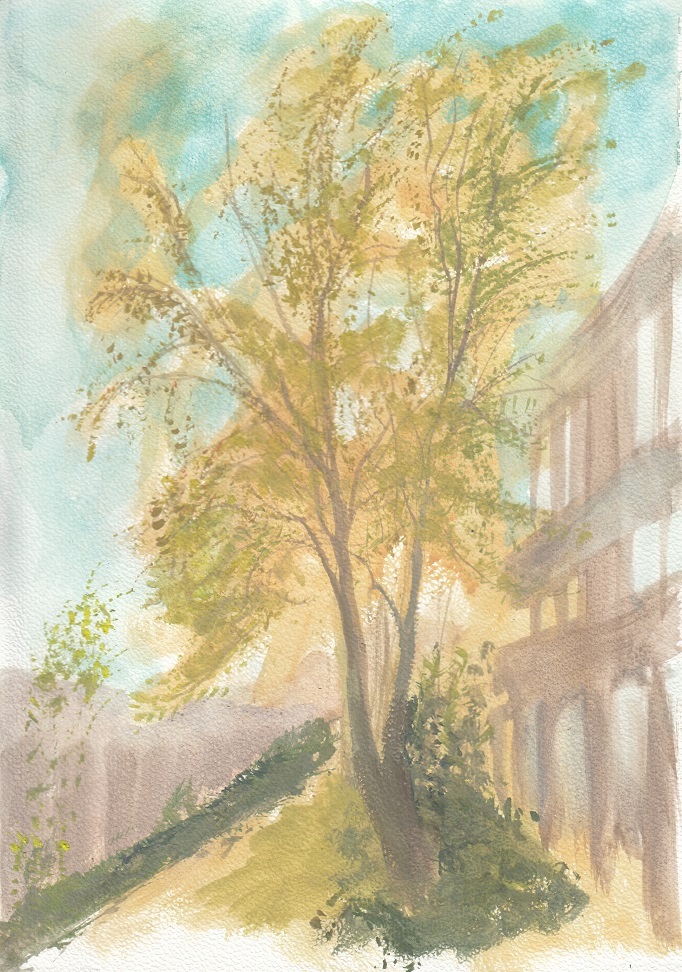 2023-09-27_Baum_bei_BMZ_ana2mars