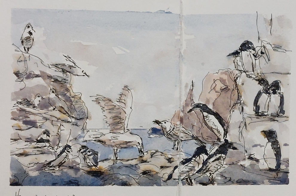 20231115_212339_Heinz