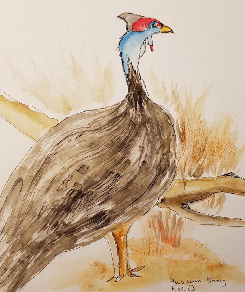 20231118_181922_Dagmar