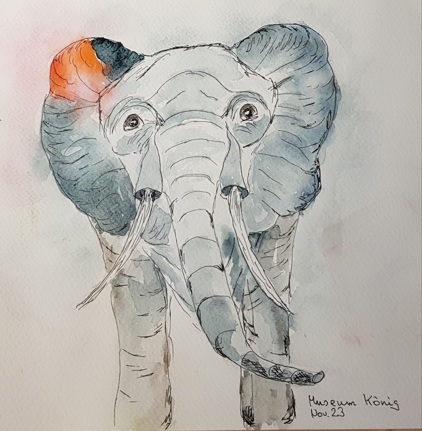 20231118_182337_Dagmar