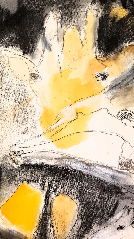 20231120_003640_Andrea