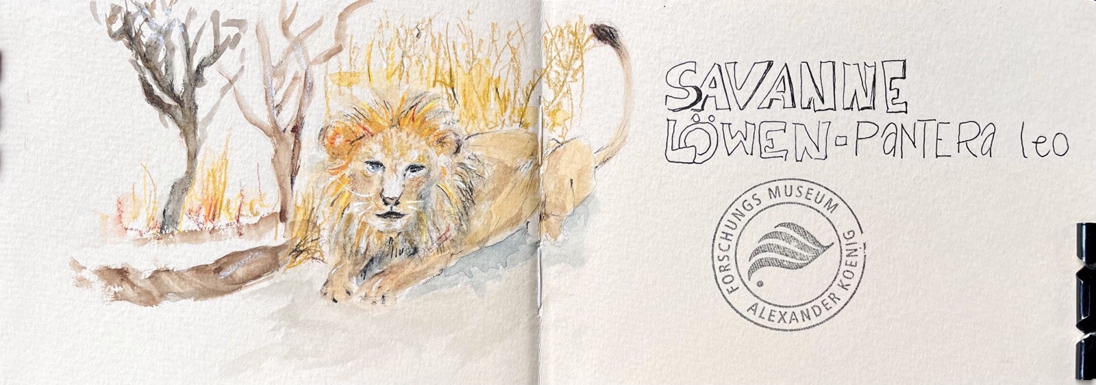 Jenny - In der Savanne