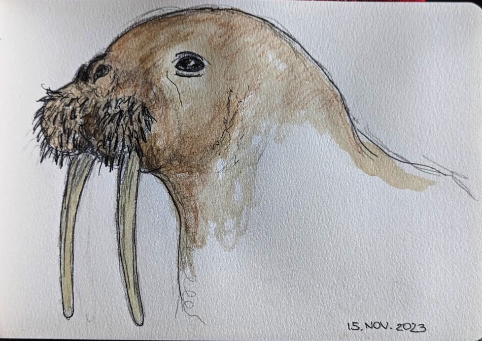 PXL_20231117_142055634.PORTRAIT_Birgitt