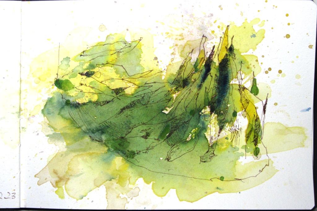 Grünzipfel k_Holger