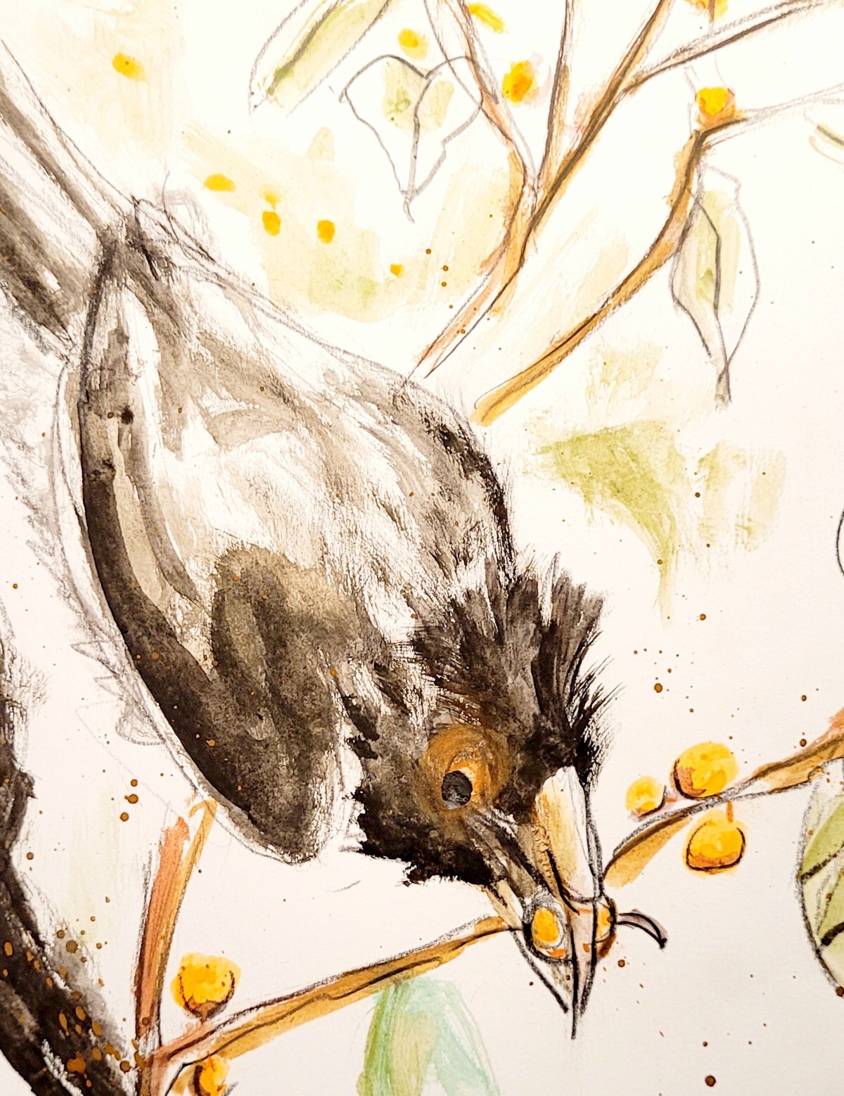 Martina vom USk Köln - gefiederter Räuber im Museum