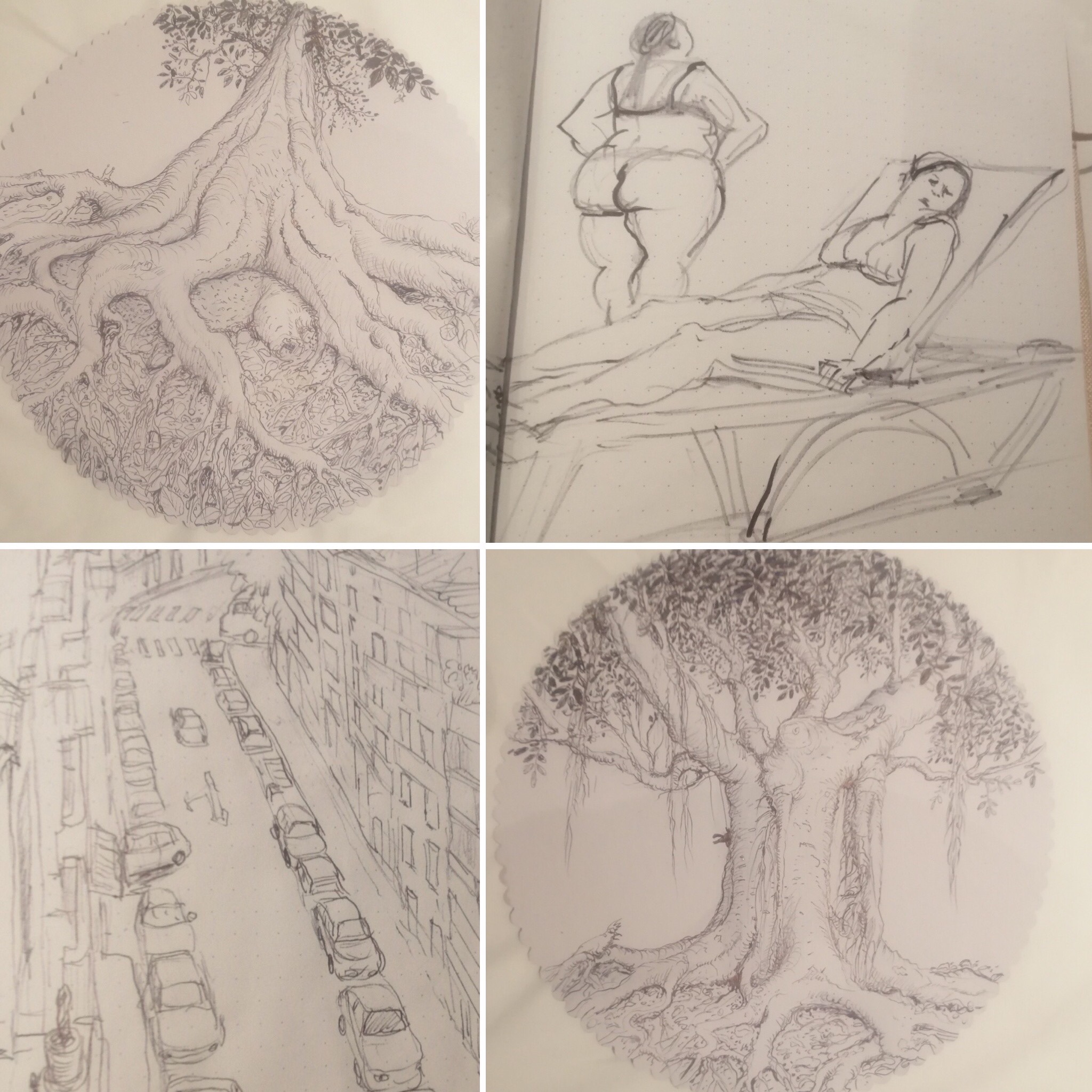 Cornelia H - Gruß von Teneriffa