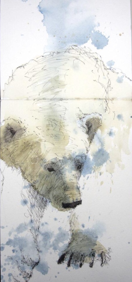 Holger - Eisbeer aus der Arktis