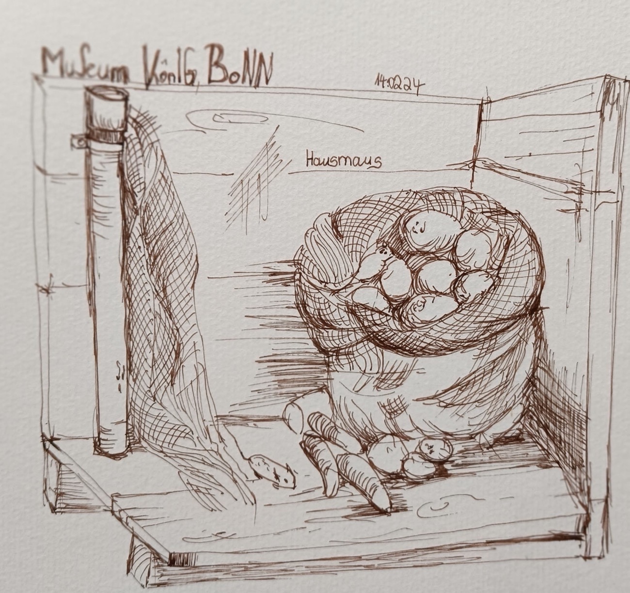 Martina - sucht die gemeine Hausmaus