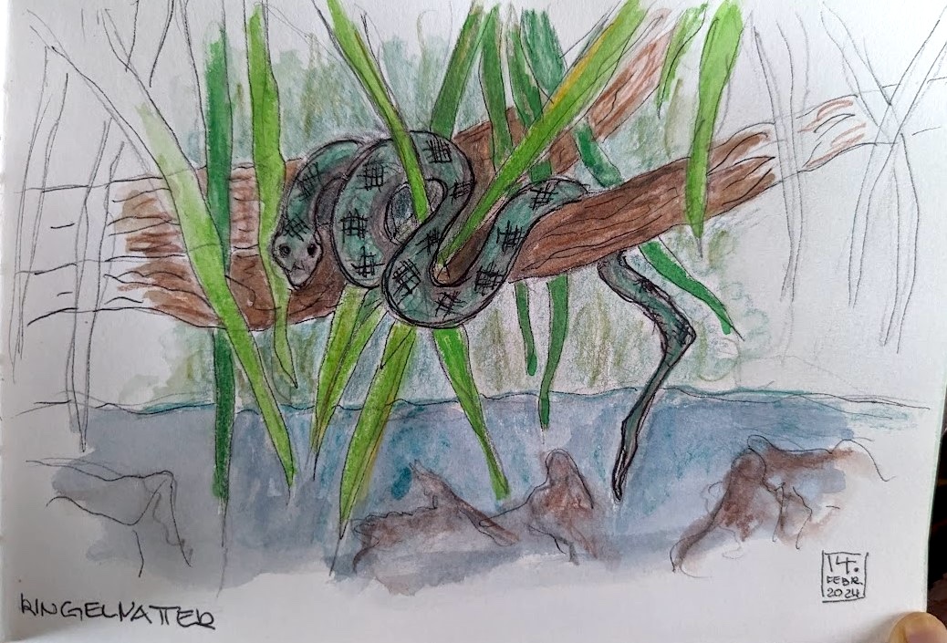 aschermittwoch 2_Birgitt.