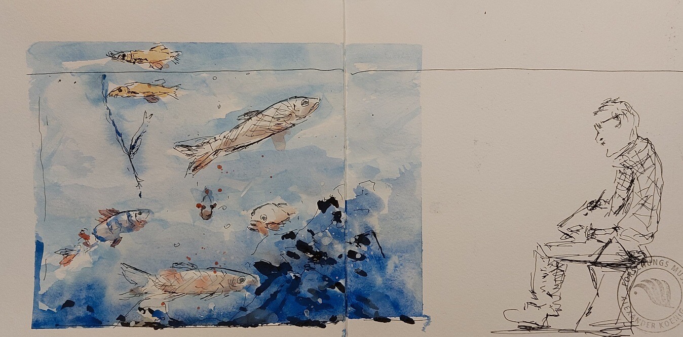 Heinz - Fische in Bewegung und ein Sketcher ganz still