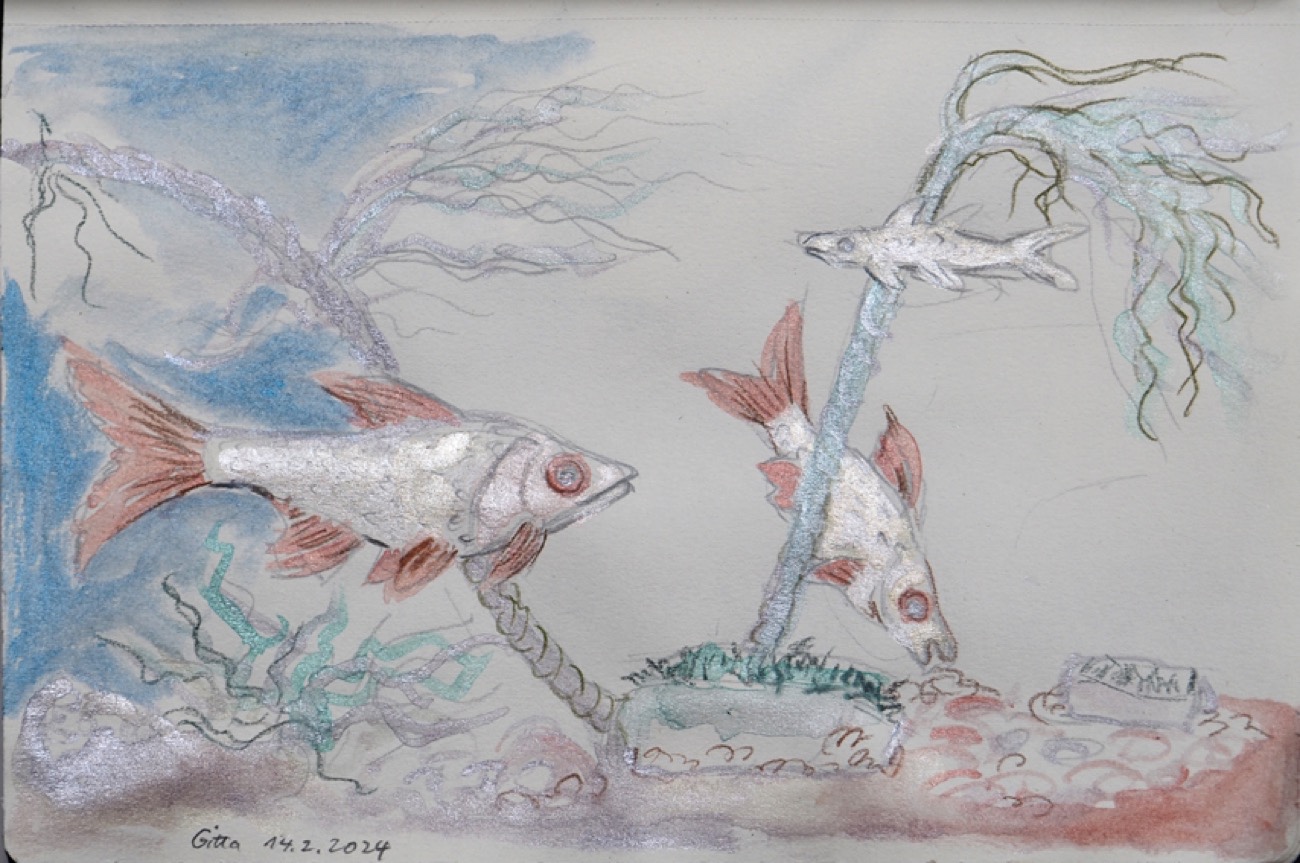 Gitta - glänzende Fische im Tank