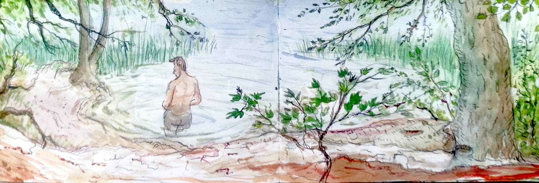 IMG_20240801_141222_Cornelia H