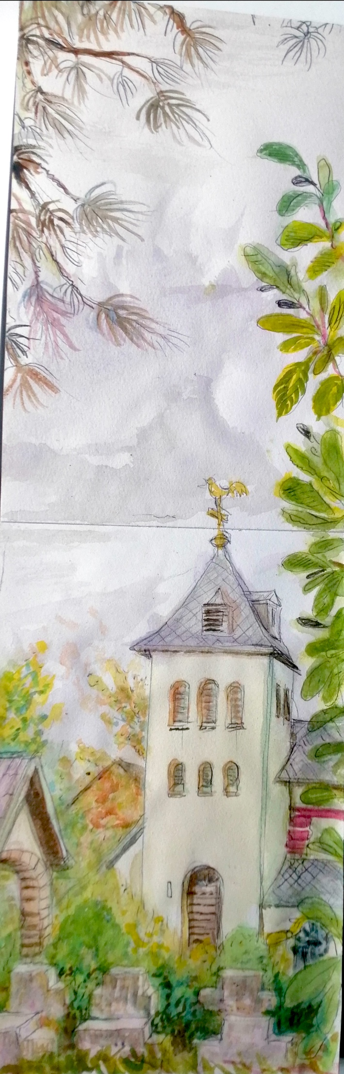 IMG_20240912_095606_Cornelia H